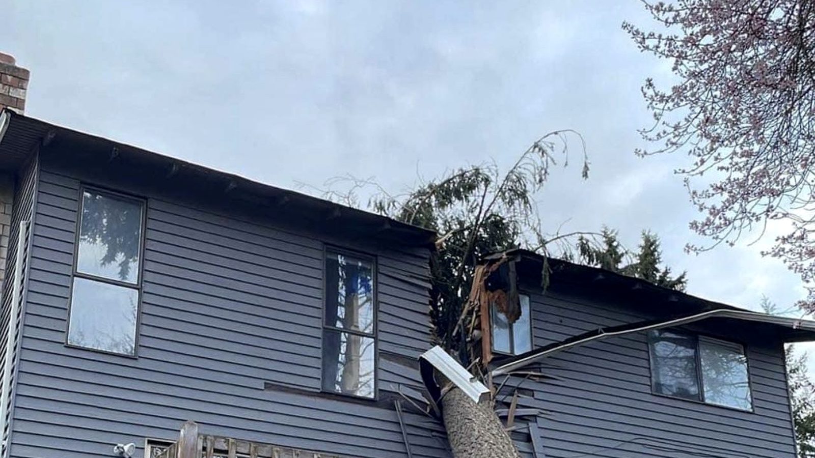 Tree trunk fallen against the upper story of a Pacific Northwest home after a windstorm.